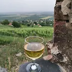 Διαμέρισμα Recece Vendeghaz *